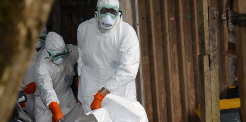 Le virus Ebola a fait plus de 2 400 morts - ảnh 1